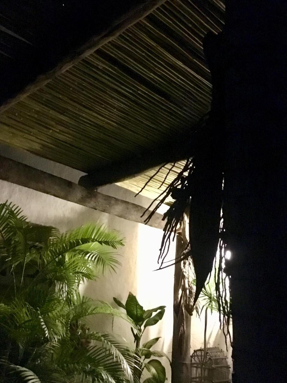 El Angel Azul Hacienda Hotel ลาปาซ ภายนอก รูปภาพ